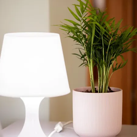 Daire Mareva's House