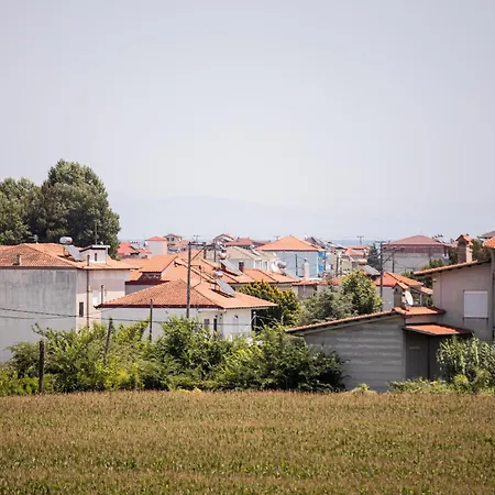 Daire Mareva's House *