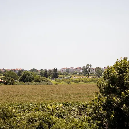 Daire Mareva's House Vromerí