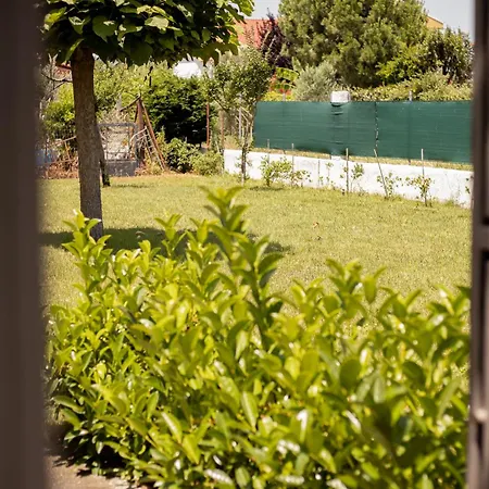 Daire Mareva's House *