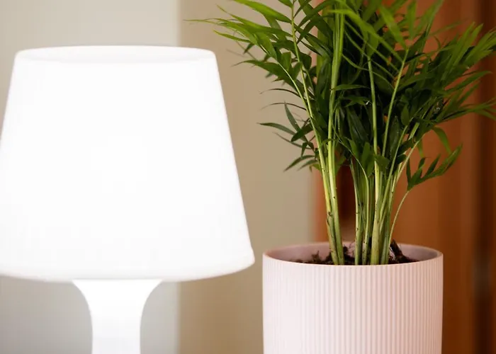 Apartamento Mareva's House